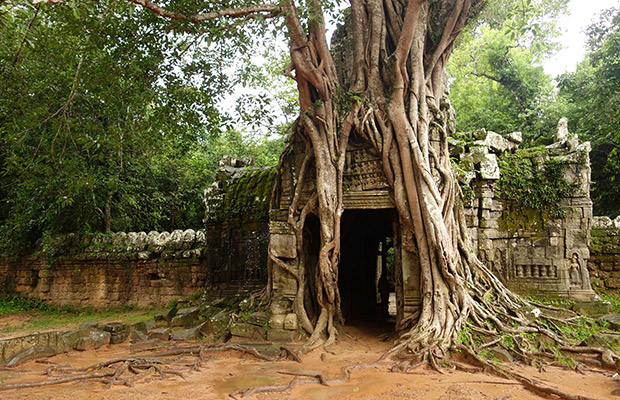 Ta Som Temple