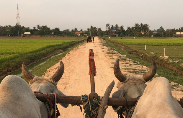 Beautiful Sunset with Ox Cart Adventure Tour