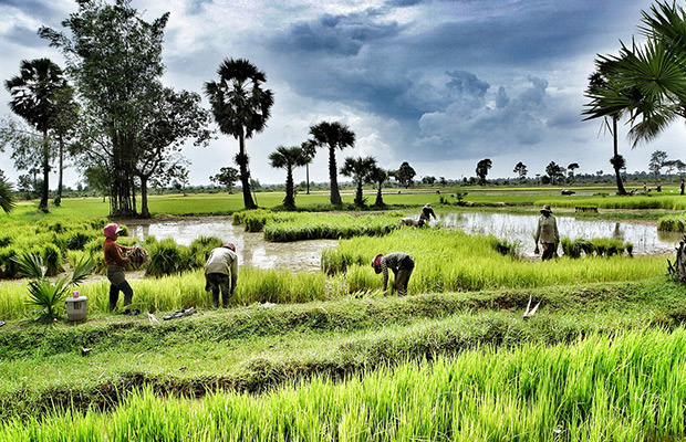 Cambodia Phnom Penh - Angkor Temple Adventure Tour