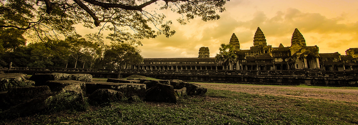 Flight of Gibbon at Angkor Wat