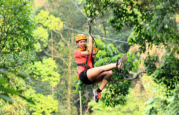 Flight of Gibbon at Angkor Wat