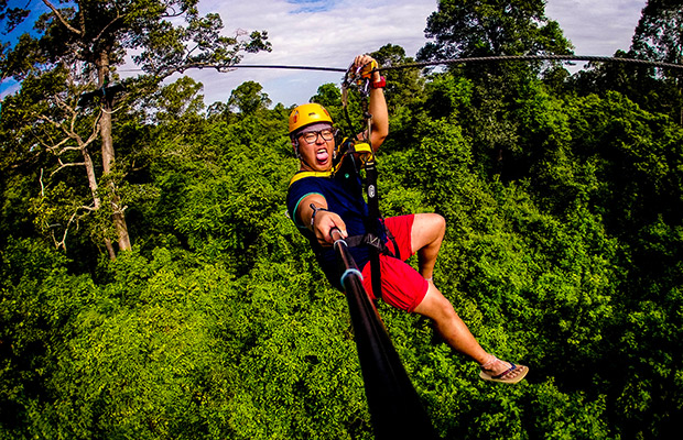 Flight of Gibbon at Angkor Wat