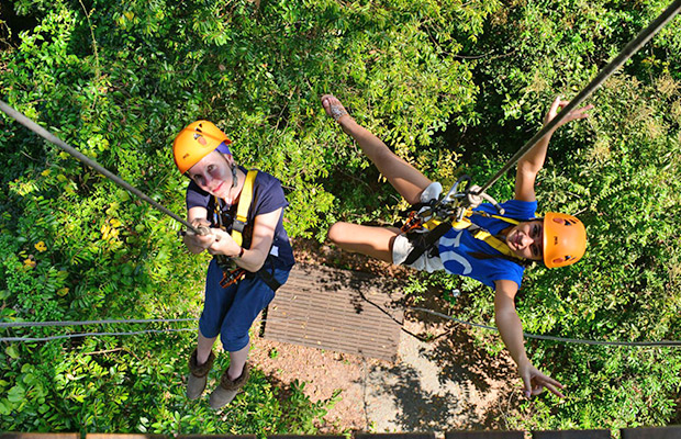 Flight of Gibbon at Angkor Wat