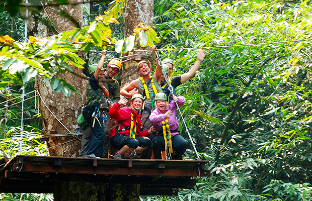 Flight of Gibbon at Angkor Wat