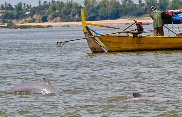 Full Day: Amazing Kratie Lifestyle and Dolphin Watching Tour
