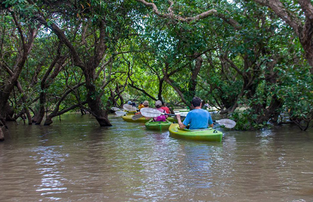 Full-Day Kayaking & Floating Village Tour in Siem Reap