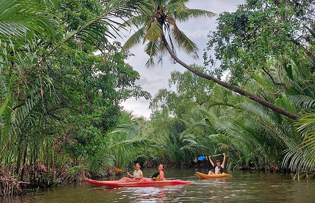 Half-Day Kayak Guided Tour to the Green Mangroves Forest