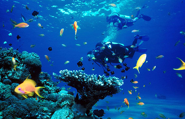 Koh Rong Samloem: Hike & Snorkeling Day Tour from Phnom Penh