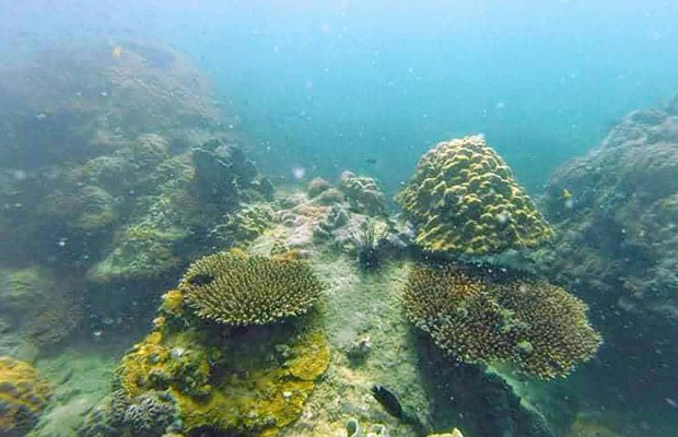Koh Rong Samloem: Hike & Snorkeling Day Tour from Phnom Penh