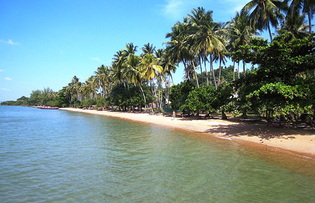 Rabbit Island Beach Holiday