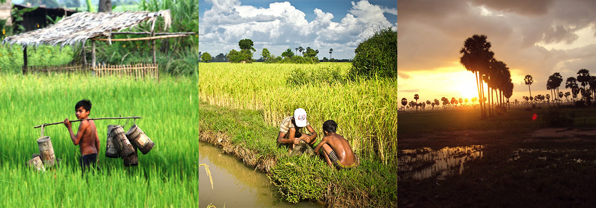 Siem Reap Daily Countryside Tour