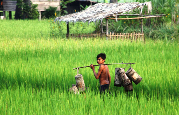 Siem Reap Daily Countryside Tour