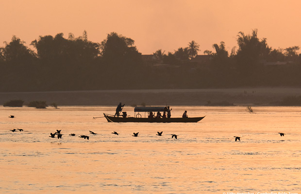2-Day: Dolphin Twilight Camping and Kayaking in Kratie