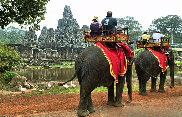 Angkor Wat Elephant Rides Tour