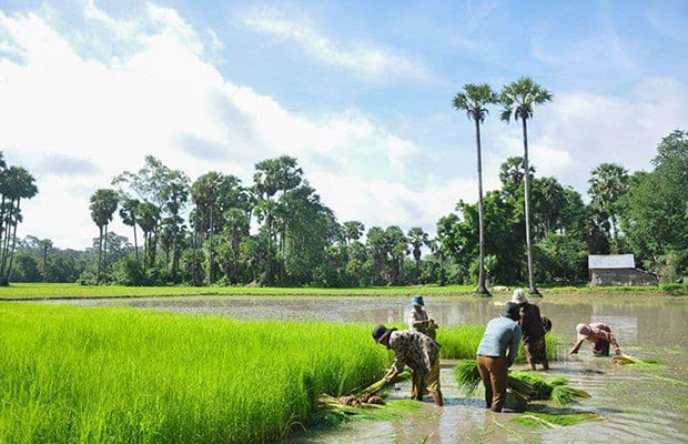 Battambang Nature Tour + Foot Massage