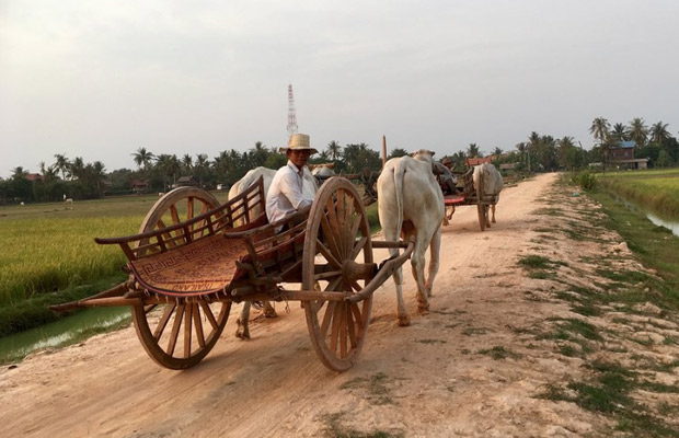 Beautiful Sunset with Ox Cart Adventure Tour