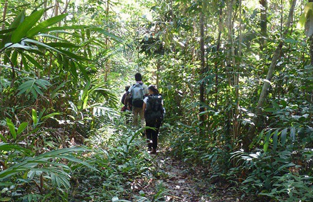 Cardamom Mountains and trekking