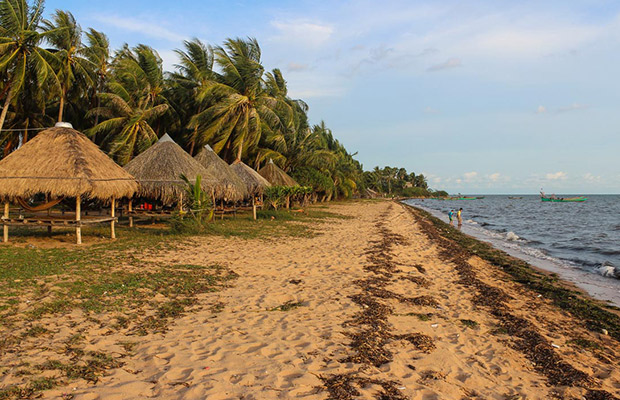 Coconut Beach