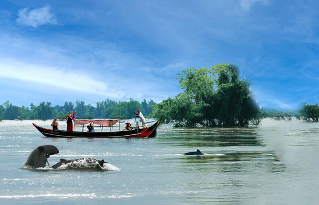 Half-Day: Discover Kratie Dolphin Tour