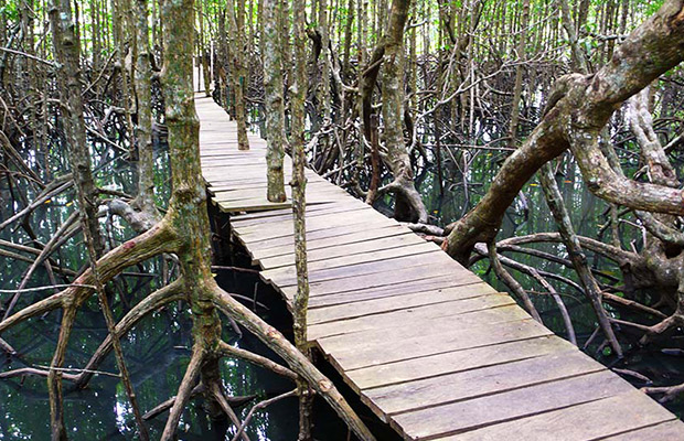 Peam Krasop Wildlife Sanctuary