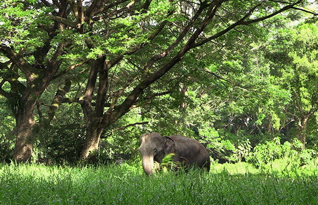 Snoul Wildlife Sanctuary