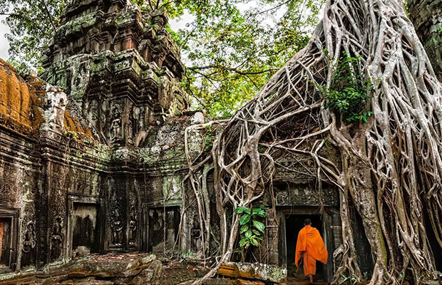 Ta Prohm and Banteay Kdei Temple Tour