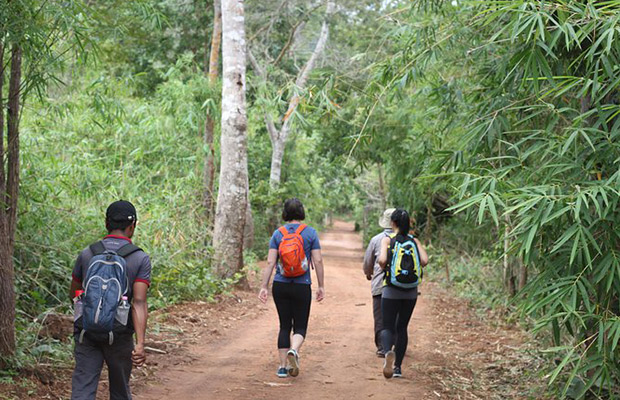 Trekking Day Tour at Kirirom National Park to Cardamom Mountain