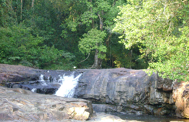 Virachey National Park