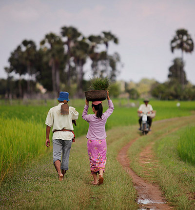 Local Life Tours